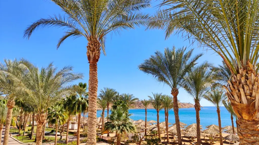 الفندق إبروتيل بالاس - شرم الشيخ